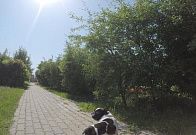 Фотографии с земли